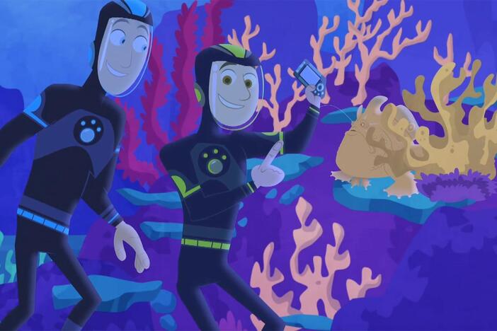 The gang gets to see just how fast a frogfish can catch its prey!