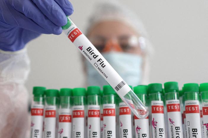 Bird flu outbreak at dairy farms continue to raise concerns about virus spreading