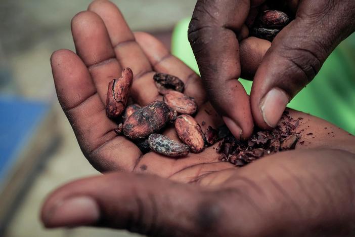 Hard-hit cocoa harvests in West Africa cause chocolate prices to soar worldwide