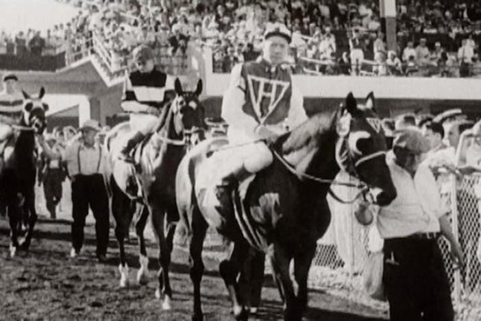 An over-worked horse and a broken-down jockey capture the nation's imagination.