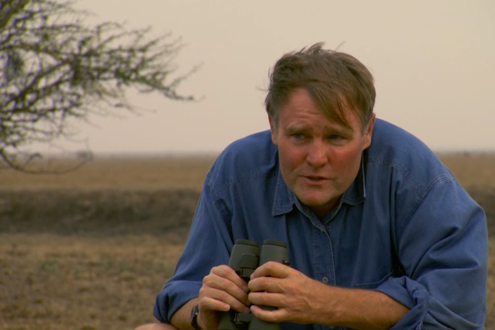 Hear what it takes to restore a war-torn National Park.