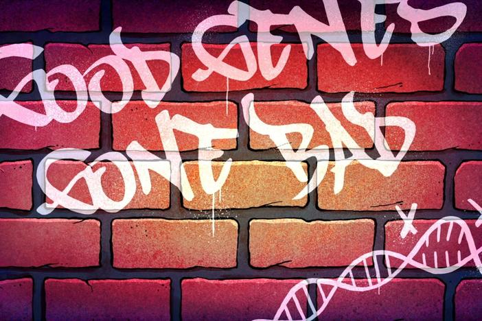 What causes cancer and ways to calm down those "good genes that have gone bad."