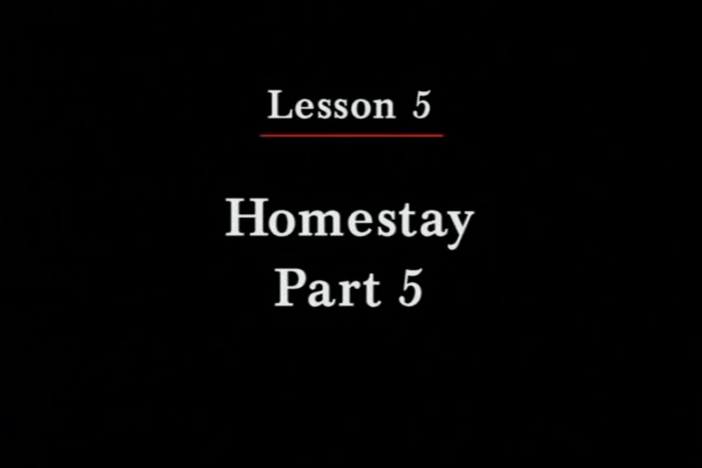 JPN II, Lesson 05. The topics covered are time, activities, and casual and formal speech.