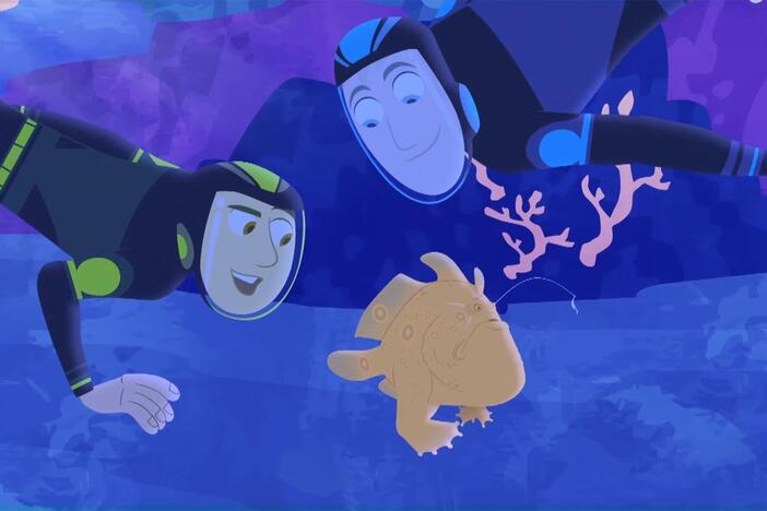The Kratts find a frogfish – a type of fish that disguises itself as coral!