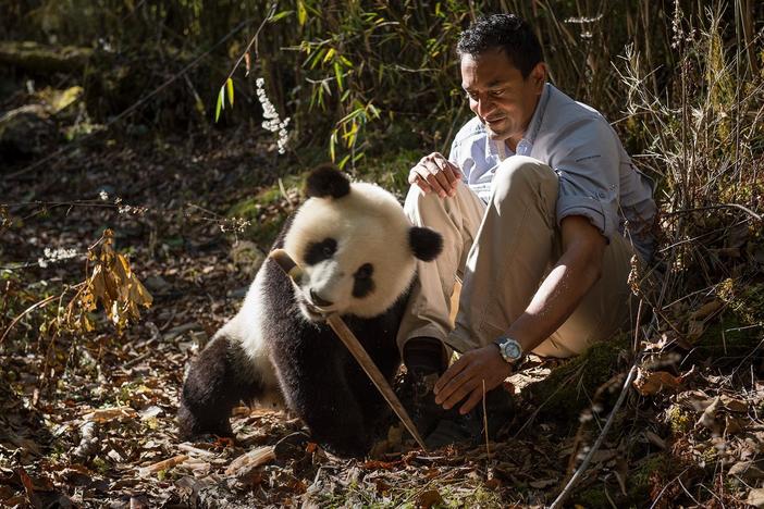 This five-part series takes a fresh look at humankind’s relationship to the planet.