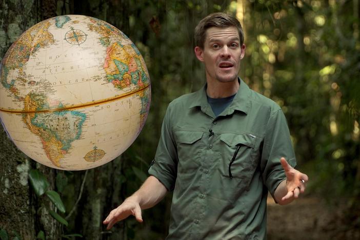 Find out why more species live near the equator!