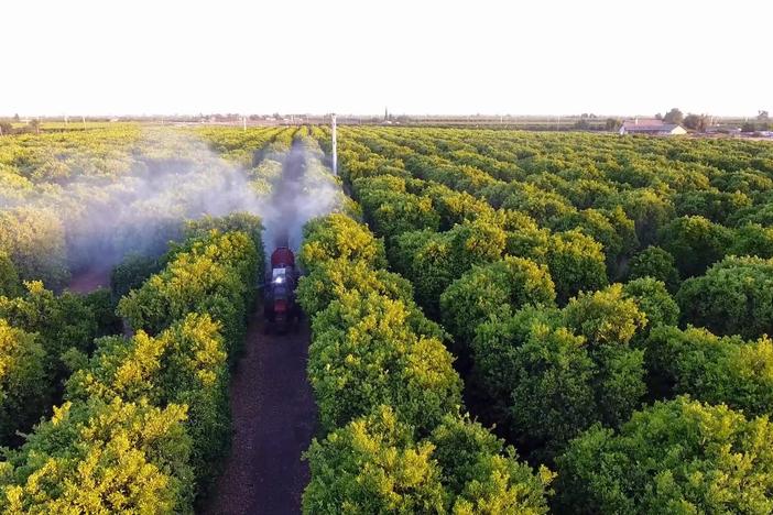 The EPA isn't taking its own advice on a pesticide that causes brain damage in children