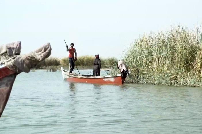 Why Iraq's biblical paradise is becoming a salty wasteland