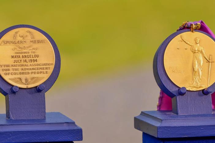Appraisal: 1994 Maya Angelou Spingarn Awards