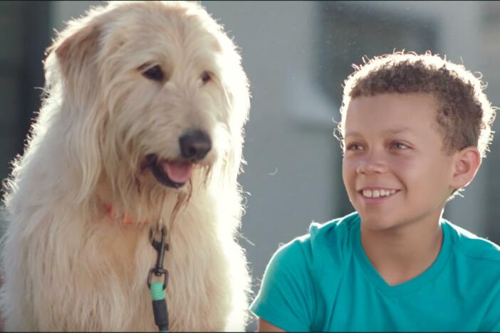 This is my dog! How do you care for your dog?