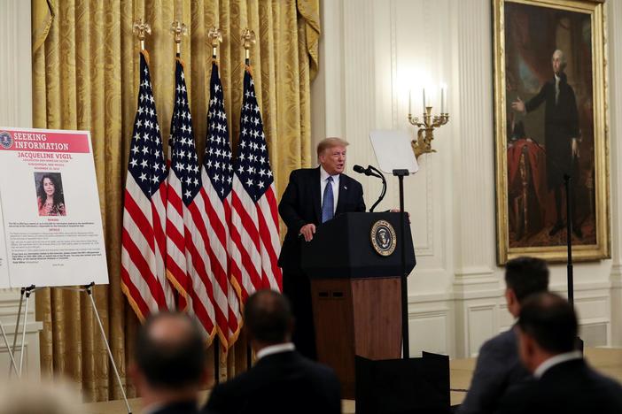 News Wrap: Trump says he's sending more federal agents to police cities