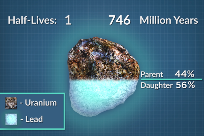 Segment 7D: Half-Life
We explain half-life qualitatively, mathematically, and graphically