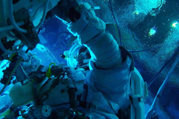 Twin astronauts Scott and Mark Kelly are ideal subjects for studying the effects of space.