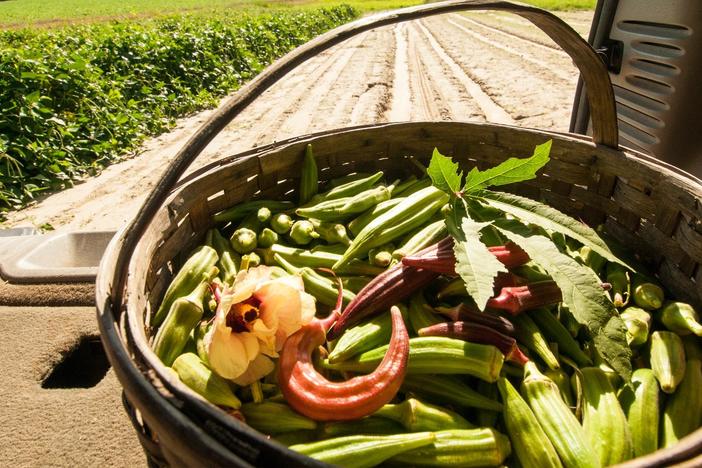 Scott Barton stops by to see the kitchen and share the African roots of okra.