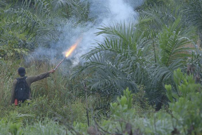 Dr. M. Sanjayan travels to Sumatra to find battles between humans and elephants.