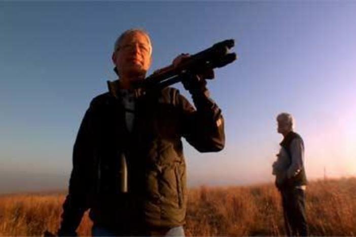 Three friends attempt to see as many species as possible in 24 hours