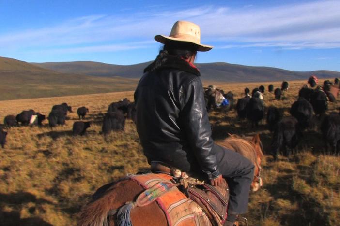 Watch Summer Pasture - premiering May 10, 2012 (check local listings)