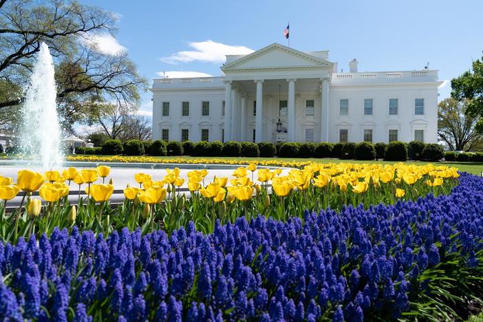 Washington Week Extra for May 1, 2020
