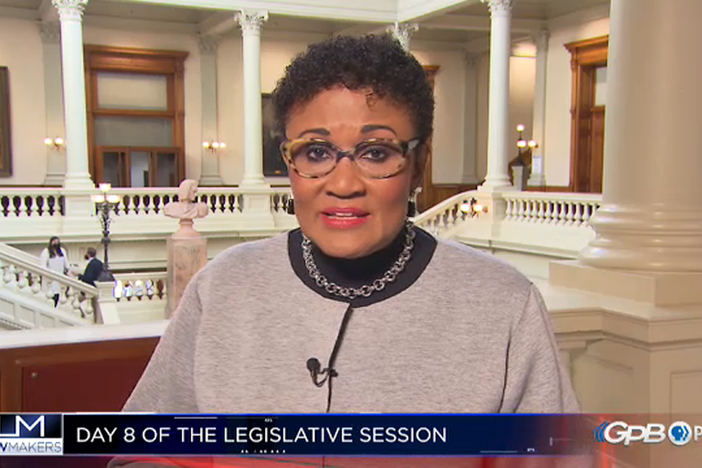 Day 8 Capitol Report for the Georgia State Legislative session for 2021.
