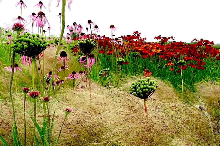 How landscape designer Piet Oudolf captures nature's ‘emotion'
