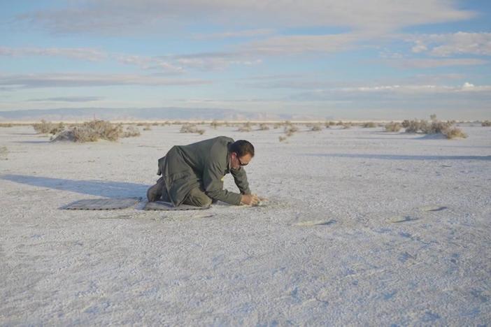 Ancient footprints in New Mexico raise questions about when humans inhabited North America