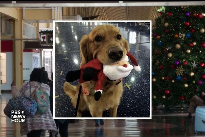 A surprisingly popular Instagram account: The Transportation Security Administration.