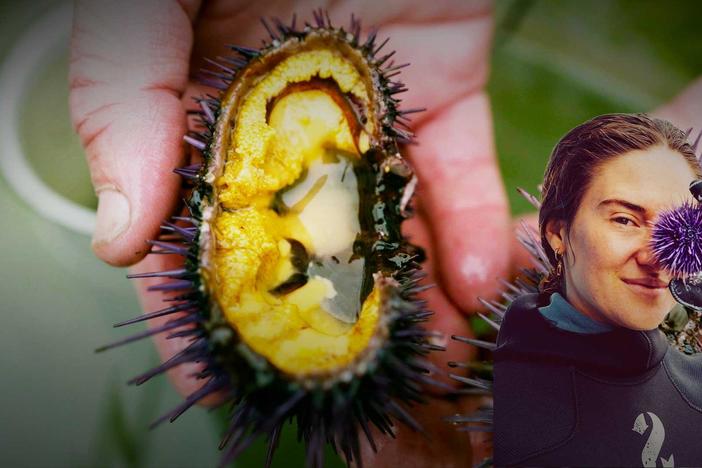 Chef Rhoda Magbitang takes a creative approach to cooking urchin and abalone.