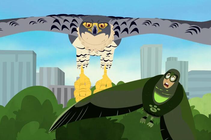 A peregrine falcon tries to hunt down Chris, who is wearing a pigeon creature power suit!