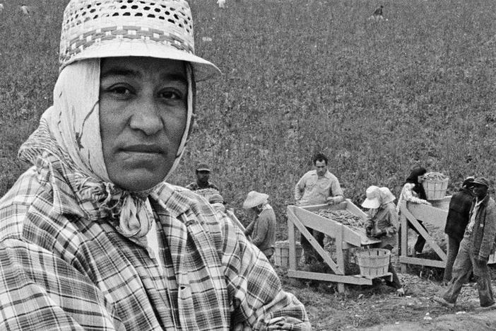 Maria describes how farmworkers feed the nation while their own children go hungry.