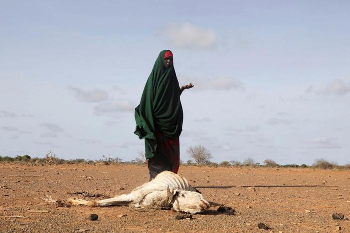 Famine propelled by conflict and climate change threatens millions in Somalia