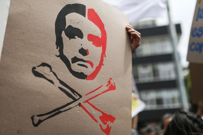 What Bolsonaro's presidency means for Brazil and the Amazon