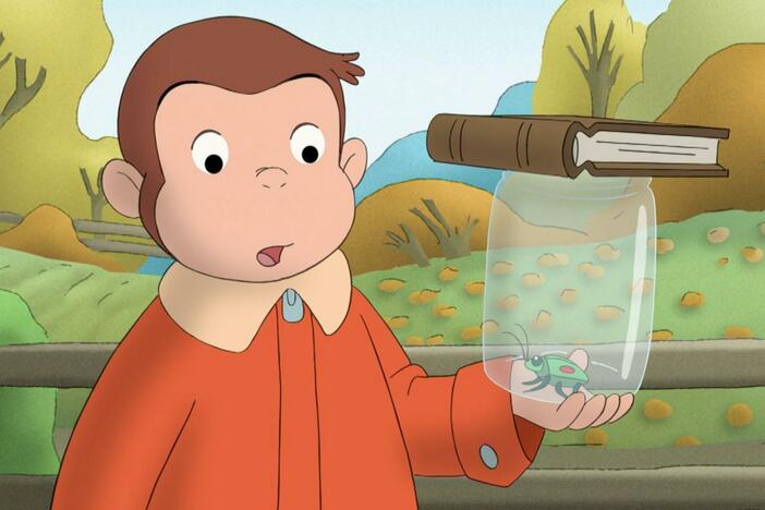 George builds a buggy house for a stinkbug. / Steve and George build a Rubber Band Ball.
