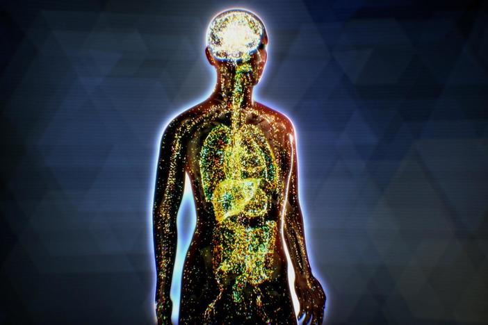Cannabinoid receptors, named after cannabis, are found in nearly every organ in the body.