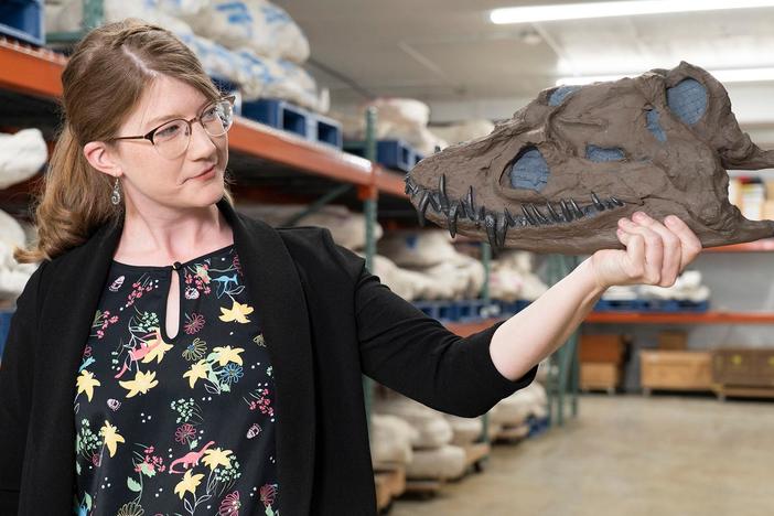 Cruise into the Cretaceous, when astonishing creatures like T. rex dominated the planet.