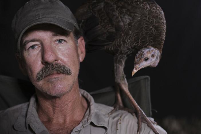 Wildlife photographer and actor Jeff Palmer on his experience filming My Life as a Turkey.