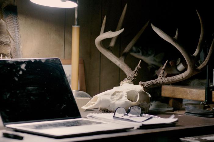 A bowhunter in the Arkansas Ozarks meditates on the Cycle of Life after an animal harvest.