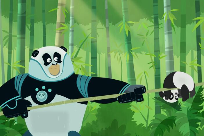 Martin, Chris and Aviva go on a mission to learn about giant panda powers