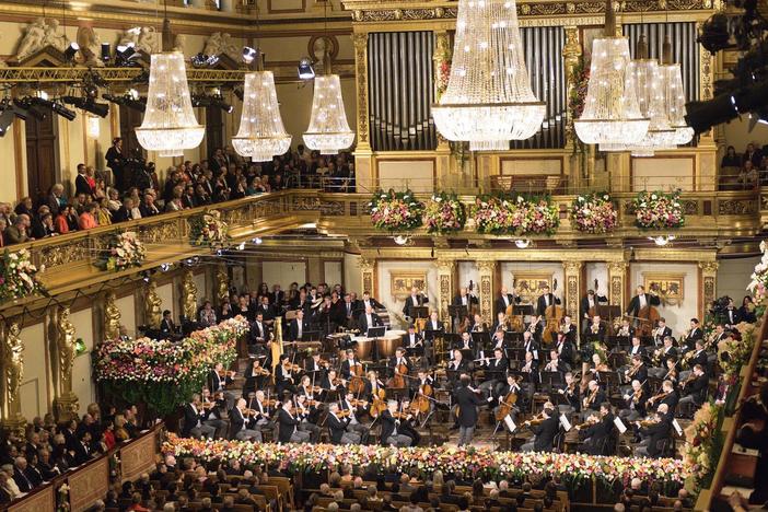 Ring in the new year with the Vienna Philharmonic at the opulent Musikverein.