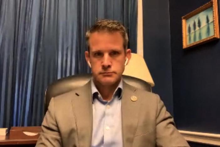 Rep. Adam Kinzinger (R-IL) weighs in.