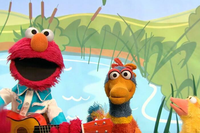 Elmo sings a song about numbers and ducks.
