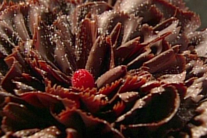 Chocolatier Alice Medrich creates a  layered chocolate genoise rasberry ruffle cake.