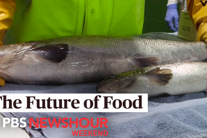 Future of Food: This genetically engineered salmon may hit U.S. markets as early as 2020