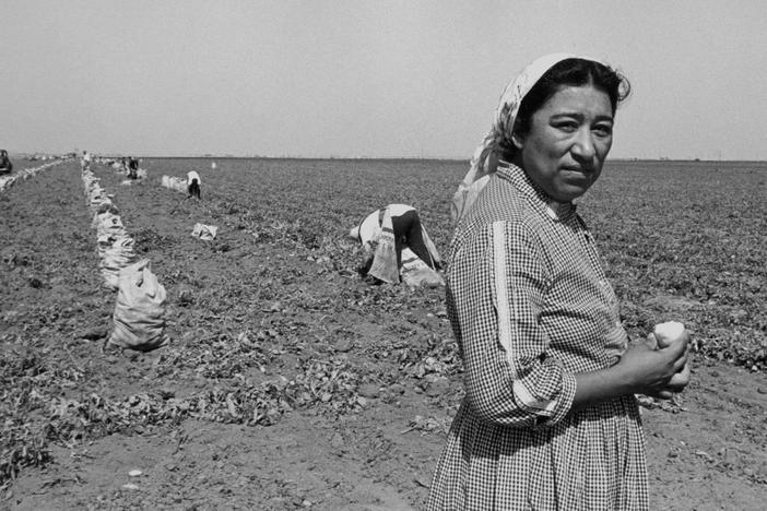 Maria Moreno and other farmworkers testify about the poverty and discrimination they face.