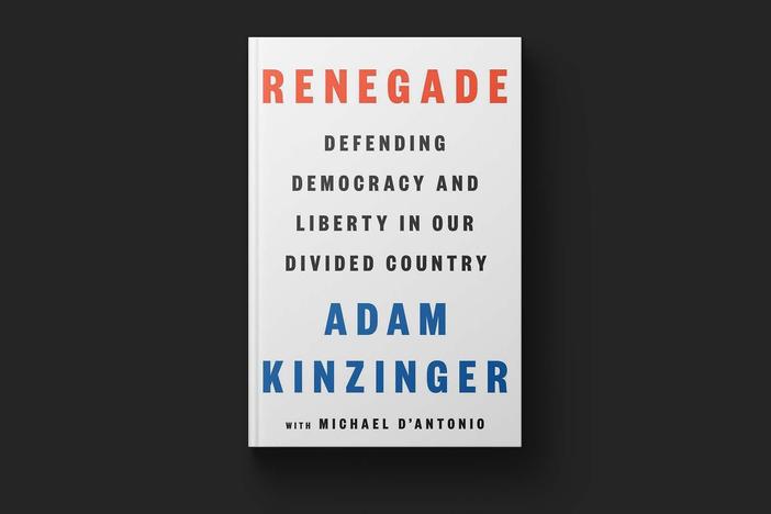 Former Rep. Kinzinger reflects on GOP and future of democracy in 'Renegade'