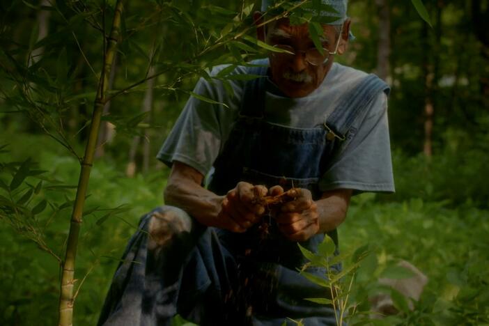 A bamboo farmer explains the unique aspects of the plant that brings him peace and spirituality.