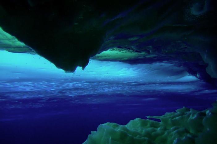 A scientist dives beneath the surface of the frigid Antarctic ice sheet.