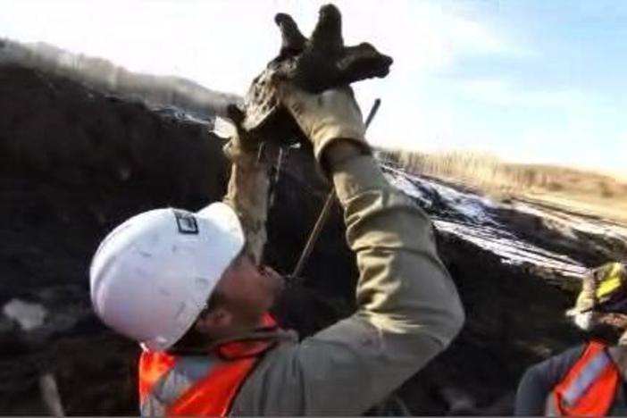 pbs video ice age death trap pbs video ice age death trap