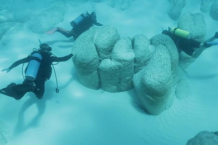 Dive down to rare stromatolites—key clues to the evolution of virtually all complex life.