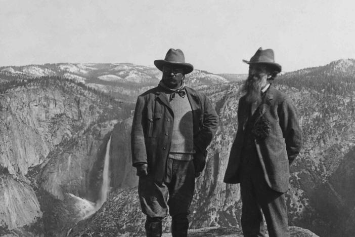 Investigate the efforts of Theodore Roosevelt and others to preserve pristine lands.