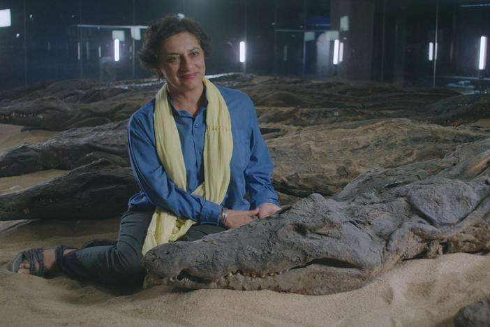Salima Ikram travels to Kom Ombo temple where ancient Egyptians worshipped crocodile gods.